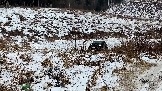 Трофи-лайф фото 4х4 покатушка Рогачевские Сокровища  08.02.2025 - (41).jpg