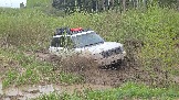 20260510_140339.jpg