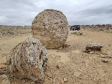 Трофи-лайф Экспедиция Казахстан Май 2024 (56).jpg