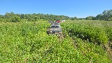 20260606_152031.jpg
