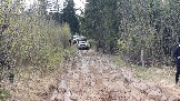 20250426_131746.jpg