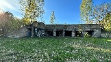 IMG_2865.JPG