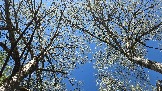 20250503_112737.jpg