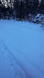 IMG_3033.JPG