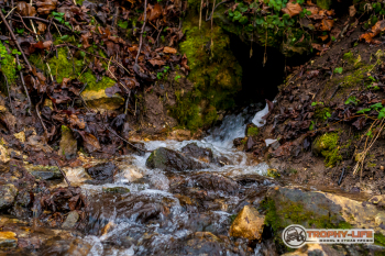 _MG_8363.jpg