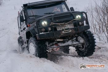 Волшебный лес by Кирилл Дубовской (56 из 72).jpg