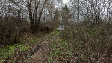 Трофи-лайф фото 4х4 День Рождения Трофи-лайф 17 лет 26.10.2024 -  (56).png