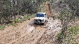 20250426_135903.jpg