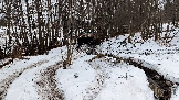 Трофи-лайф фото 4х4 покатушка Рузские Срезочки 25.01.2025 -  (50).jpg