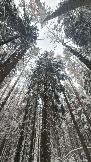 20231209_151104.jpg