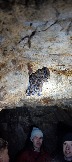 IMG_20231104_170617.jpg