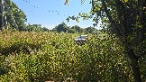 20260801_163252.jpg