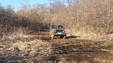 20250316_163116.jpg