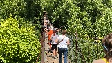 IMG_1637.jpg