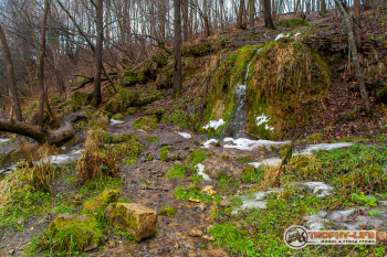 _MG_8364.jpg