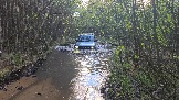 20250509_181425.jpg