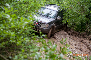 _MG_5493.jpg
