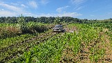 20260801_135335.jpg