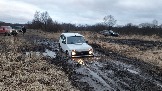 20250202_164610.jpg