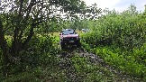20250801_115852.jpg