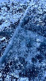 IMG_8800.jpg