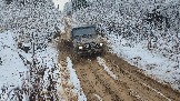 20251115_122939.jpg