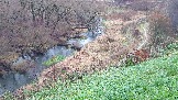 20231106_091318.jpg