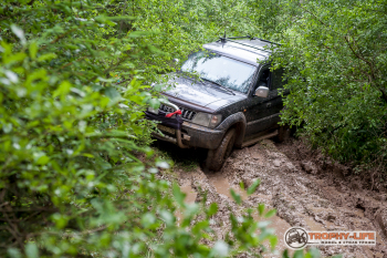 _MG_5492.jpg