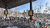 IMG_8476.jpg
