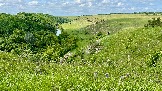 IMG_1625.jpg