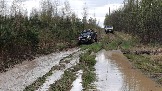20250426_121312.jpg