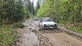 20260510_120303.jpg