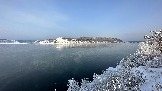 IMG_8325.jpg