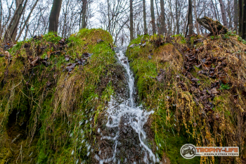 _MG_8367.jpg