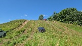 20260801_115840.jpg