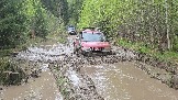 20260510_120422.jpg