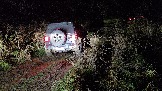 20251025_182332.jpg