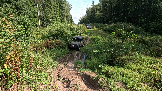 Трофи-лайф фото 4х4 Корпаративный Джип-тур в Яхроме 17.08.2024 - (3).png