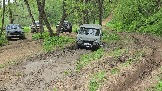 20250518_133720.jpg