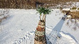 DJI_0004.JPG