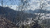 IMG_8528.JPEG