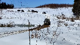 Трофи-лайф фото 4х4 покатушка Рогачёвские Сокровища 12.04.2025 - (60).jpg