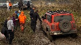 IMG_7537.jpg
