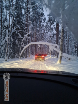 Фото Трофи-лайф 4х4 покатушка Мещерские Скитания 04.01.22 - 154.jpg