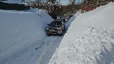 20260222_113125.jpg