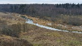 20231105_140853.jpg