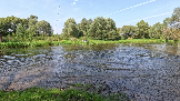 Трофи-лайф фото 4х4 Школа около Чехова 01.09.2024 -  (2).png