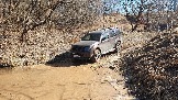 20250316_115400.jpg