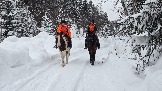 20260225_162949.jpg