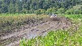 20260801_135056.jpg